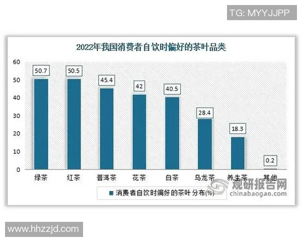 杭州羽毛球队状态深度对比分析与未来发展潜力探讨