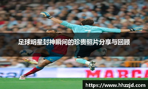 乐发Vll官方平台