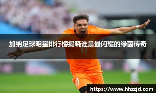 乐发Vll官方平台