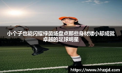 乐发Vll官方平台